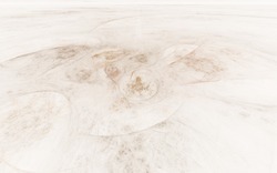 2014 05 14 Aiming for Textures 31-white.jpg